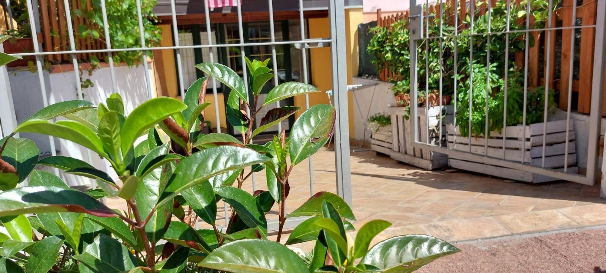 Casa Vacanze Laura Tortolì Exterior foto